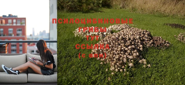 прущая мука Новозыбков