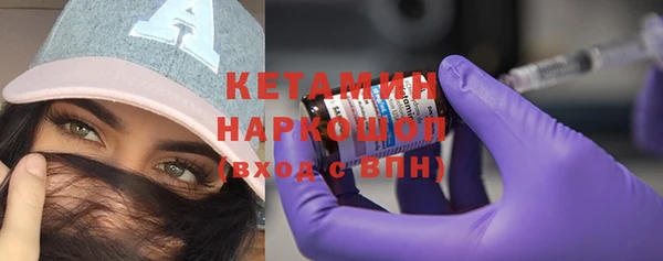 крисы Няндома