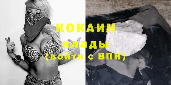 гашик Всеволожск