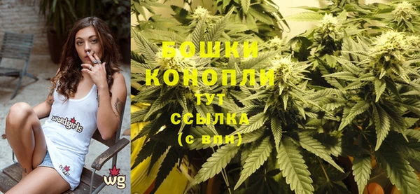 мяу мяу мука Новодвинск