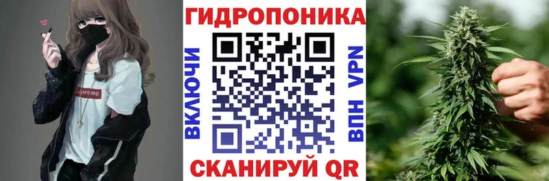 Каннабис ГИДРОПОН  купить наркотики цена  Тобольск 